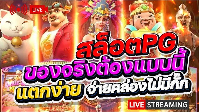 bb789 live